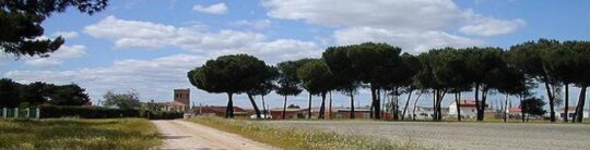 Moraleja de las Panaderas: Refugio Entre Pinares